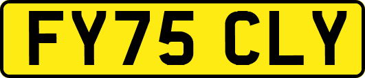 FY75CLY