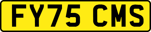 FY75CMS