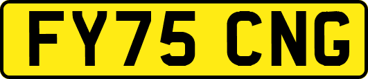 FY75CNG