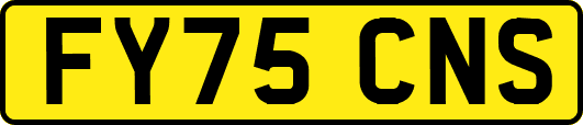 FY75CNS