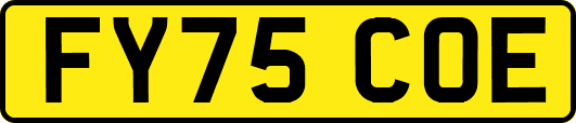 FY75COE