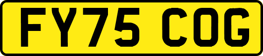 FY75COG