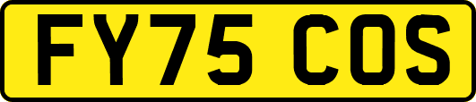 FY75COS