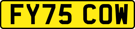 FY75COW