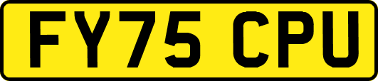 FY75CPU