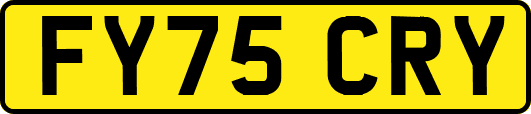 FY75CRY