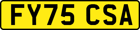 FY75CSA