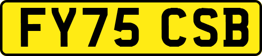 FY75CSB
