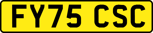FY75CSC