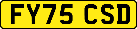 FY75CSD