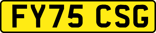 FY75CSG