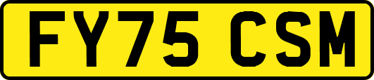 FY75CSM