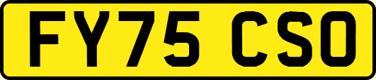 FY75CSO