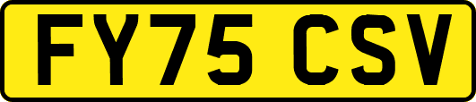 FY75CSV