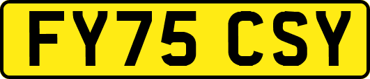 FY75CSY