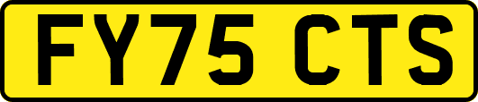 FY75CTS
