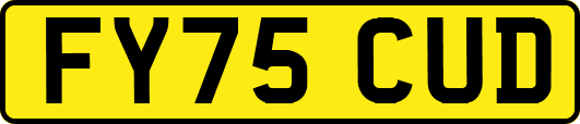 FY75CUD