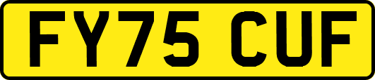 FY75CUF