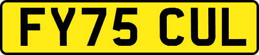 FY75CUL