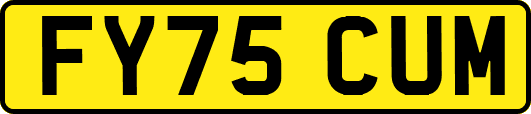 FY75CUM