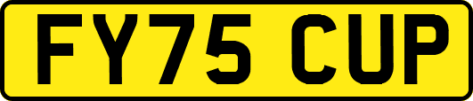 FY75CUP