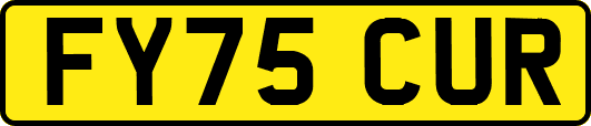 FY75CUR