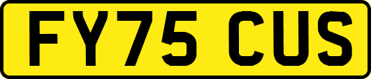 FY75CUS
