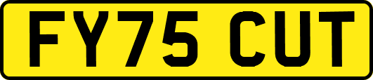 FY75CUT
