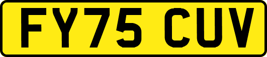 FY75CUV