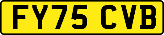 FY75CVB