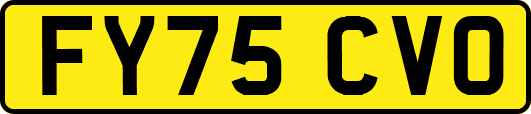 FY75CVO