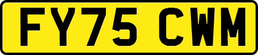 FY75CWM
