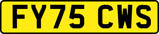FY75CWS