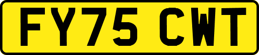 FY75CWT