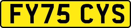 FY75CYS