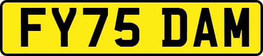 FY75DAM