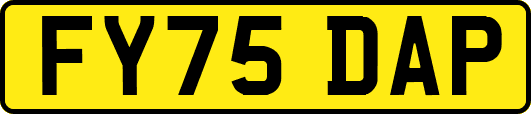FY75DAP