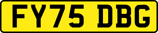 FY75DBG