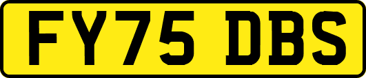 FY75DBS