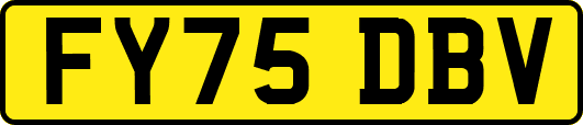 FY75DBV