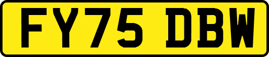FY75DBW