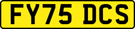 FY75DCS