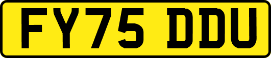 FY75DDU