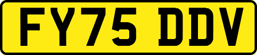 FY75DDV