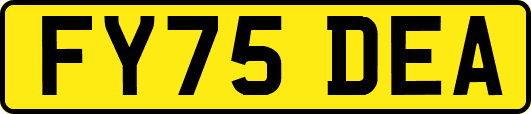 FY75DEA