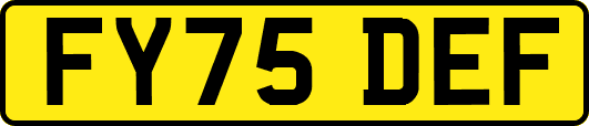 FY75DEF