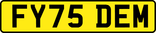 FY75DEM