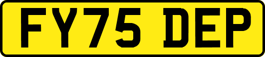 FY75DEP