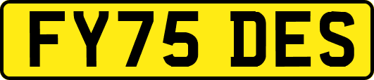 FY75DES