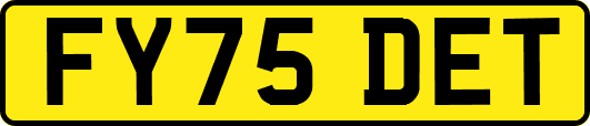 FY75DET